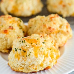 plate of garlic biscuits with cheese