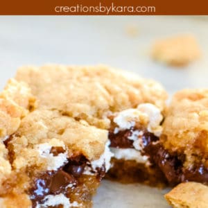 s'more bar with ooey gooey chocolate and marshmallows