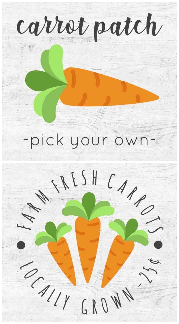 Carrot Patch Printable Printable Word Searches