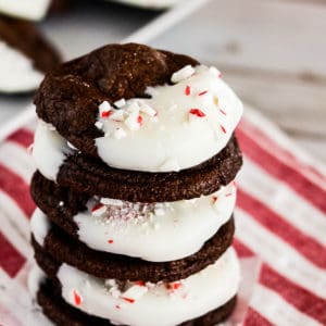 double chocolate peppermint cookies