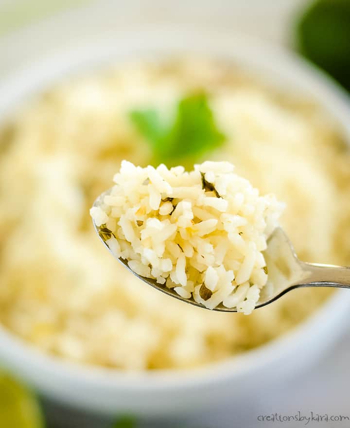 spoonful of cilantro rice