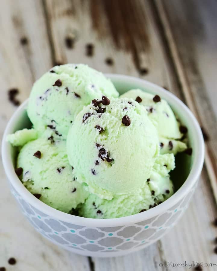 bowl of mint chocolate chip ice cream