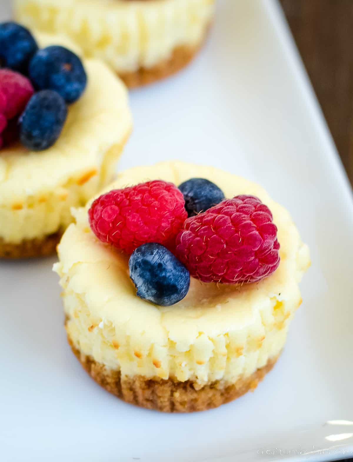 close up of mini cheesecake bites with raspberries and blueberries