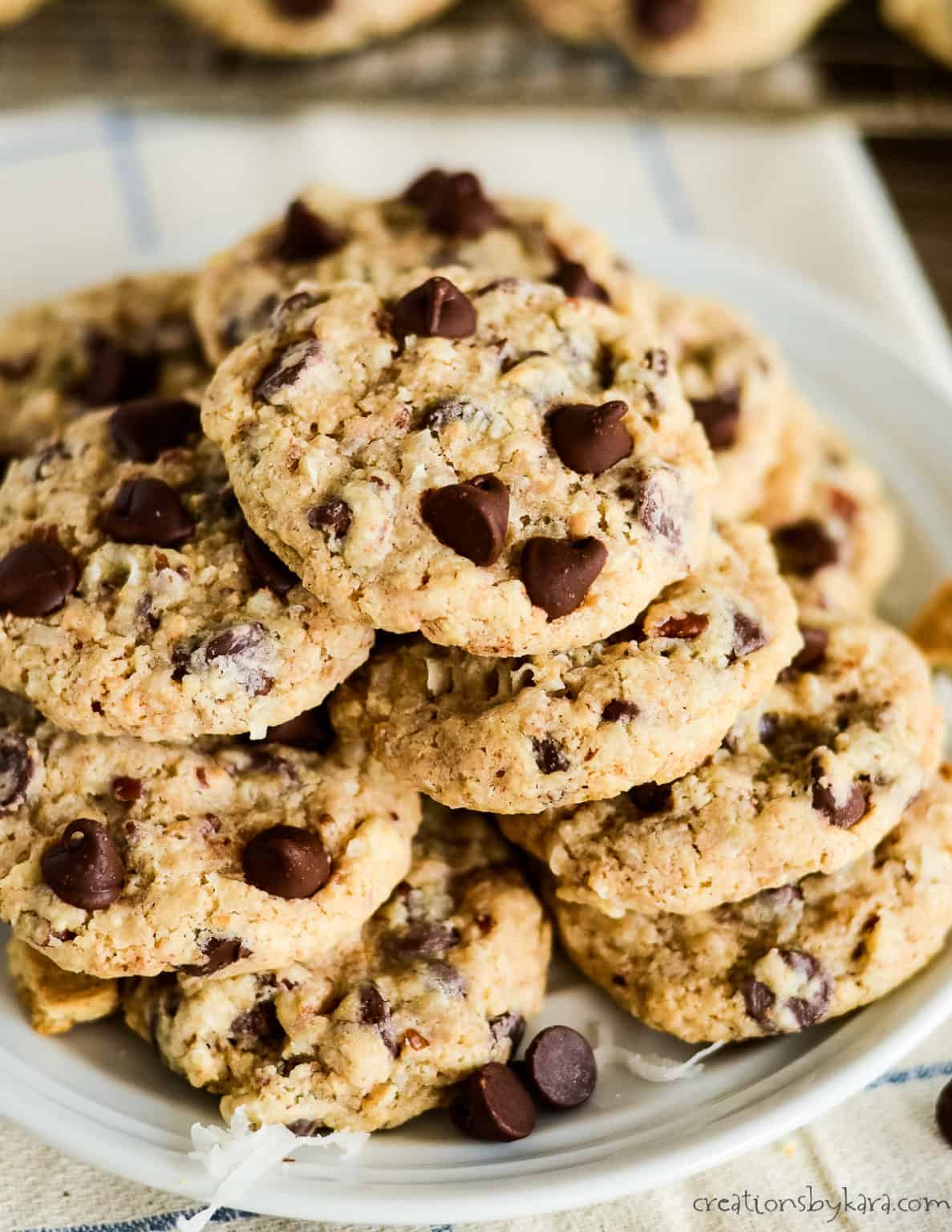 Best Graham Cracker Cookies Creations by Kara