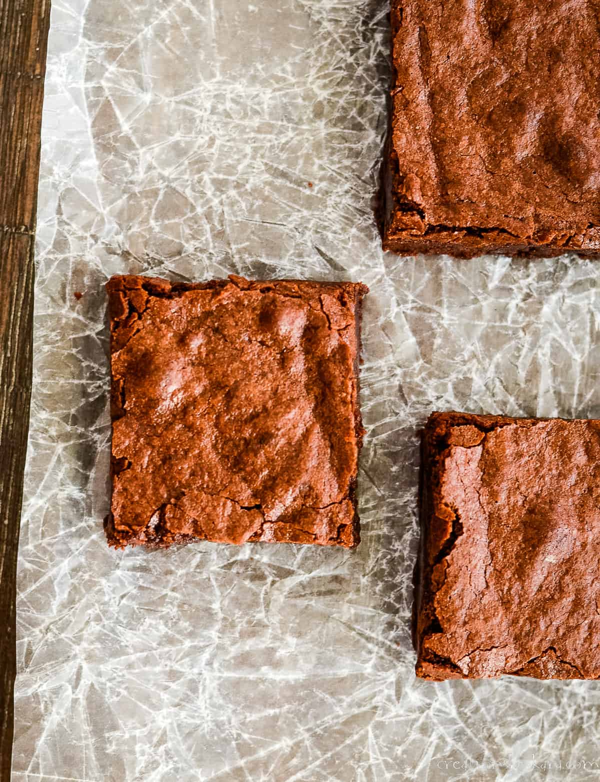 squares of cocoa powder brownies on waxed paper