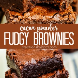 fudgy brownies with cocoa powder