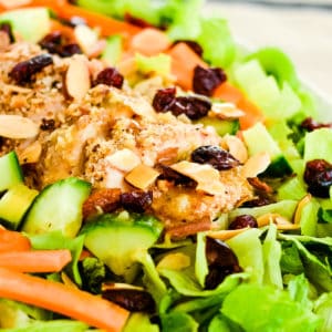 pecan crusted chicken salad with honey mustard chicken