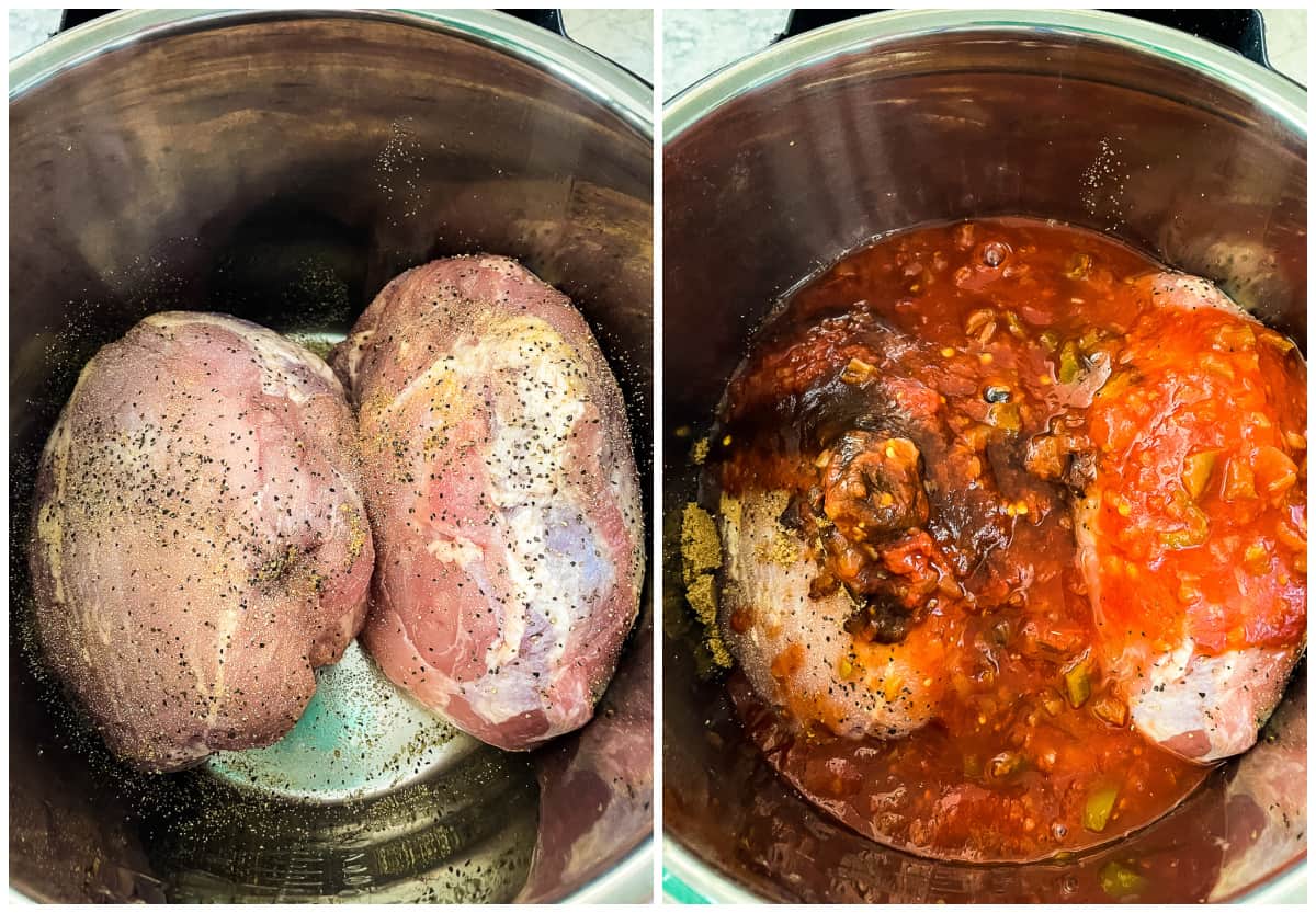 pork roast, salsa, and brown sugar in a crock pot