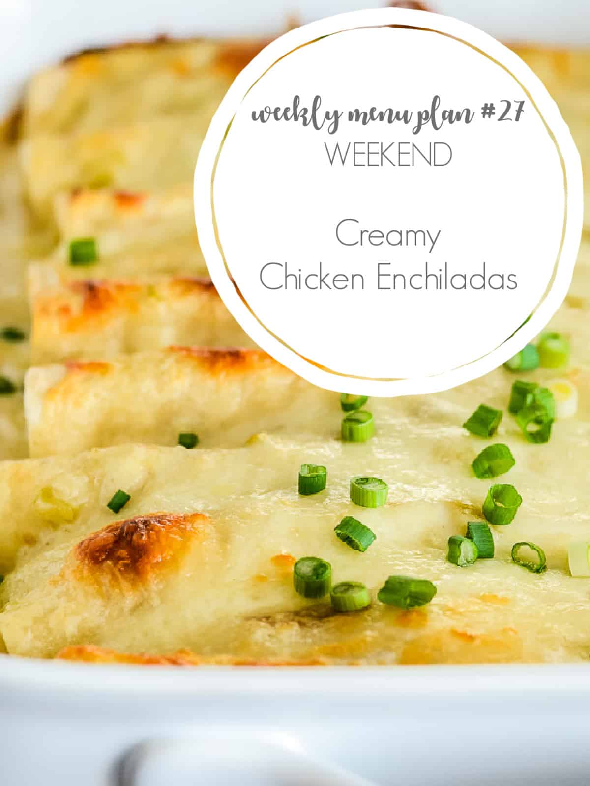 creamy chicken enchiladas