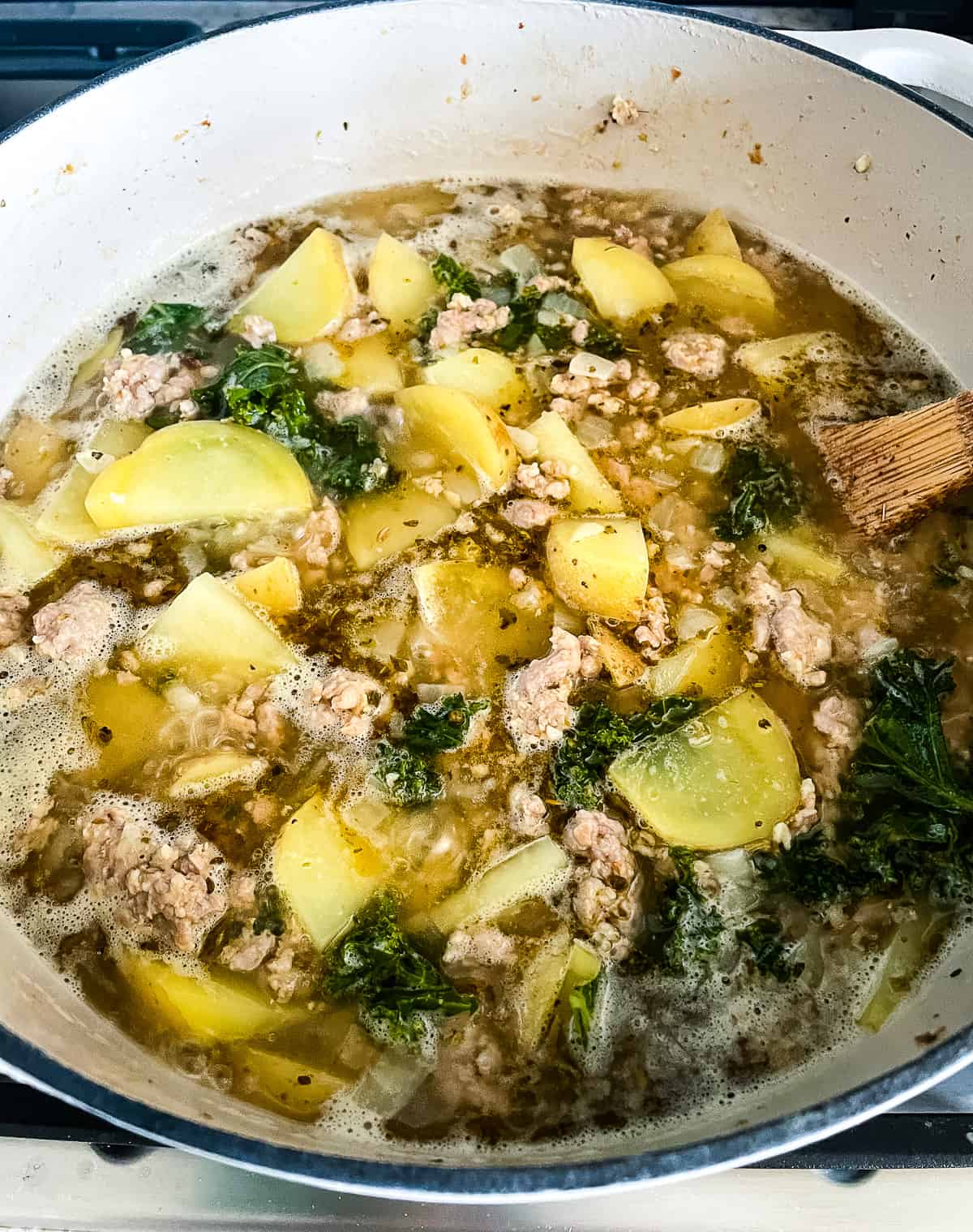 soup ingredients simmering