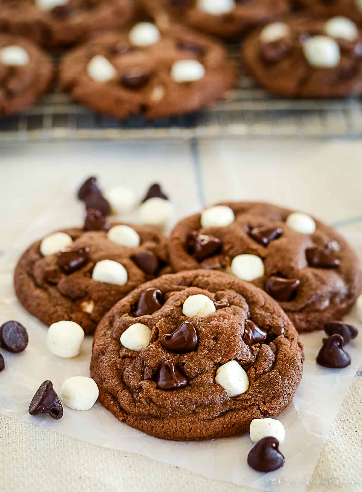 hot cocoa cookies with dried marshmallows and chocolate chips