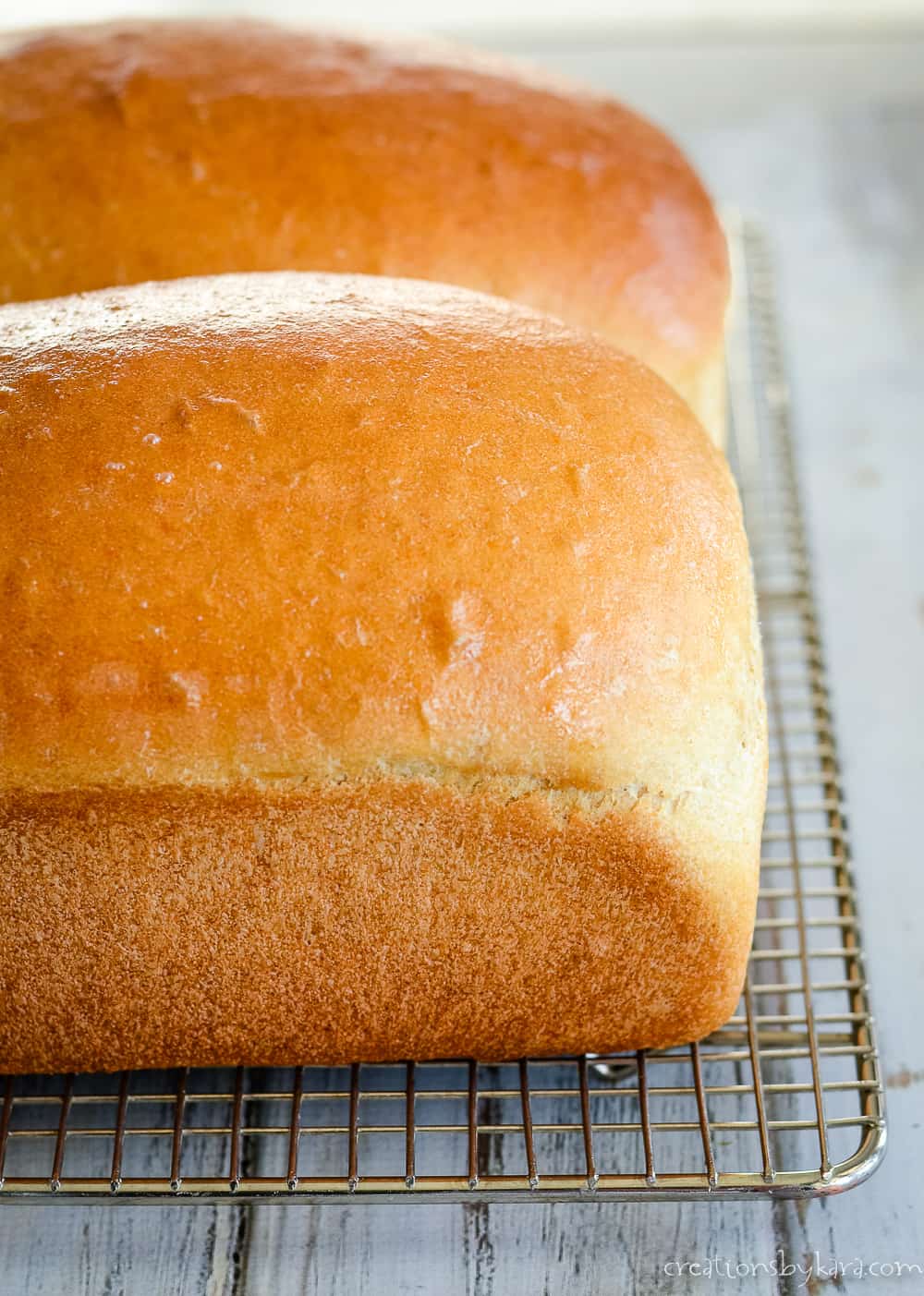 honey wheat bread recipe