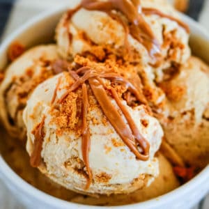 custard style biscoff ice cream recipe