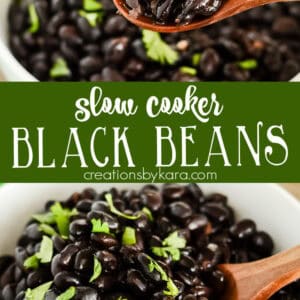 best crockpot black beans