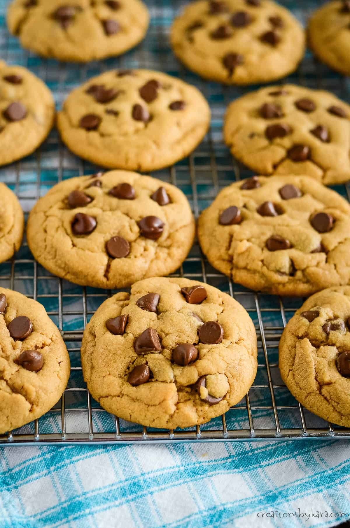 chocolate chip peanut butter cookies cooling on a wire rack