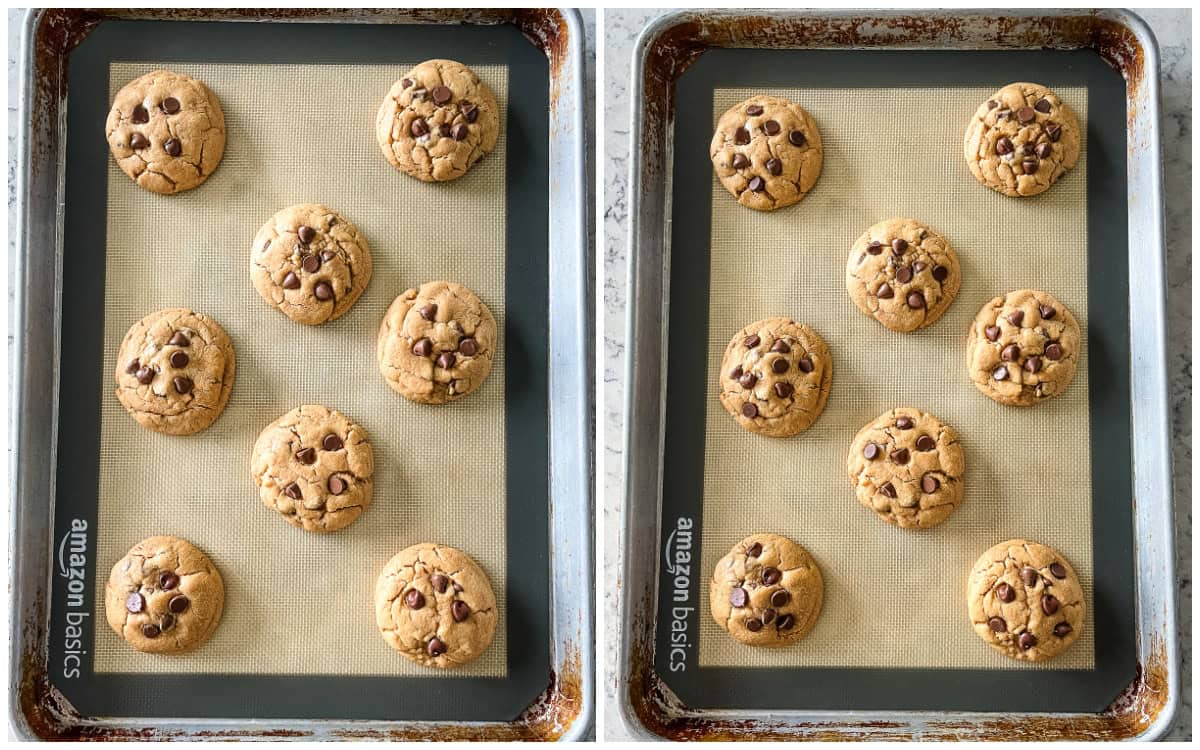 bakery style chocolate chip peanut butter cookies on cookie sheets
