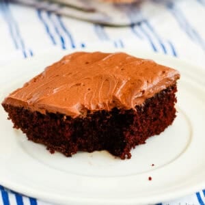 plate with a slice of frosted chocolate mayo cake